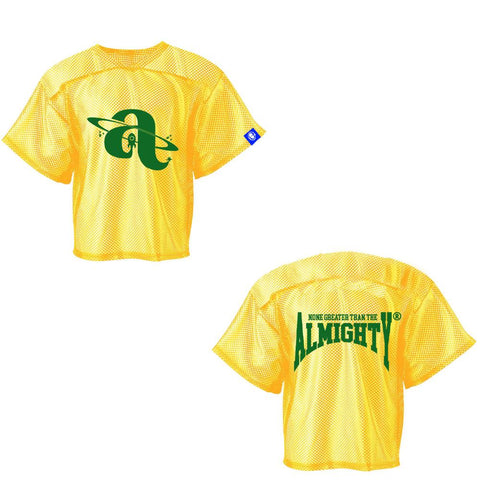 Mesh Practice Jersey