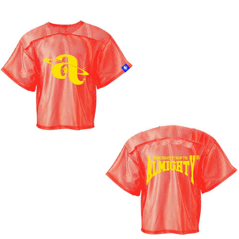 Mesh Practice Jersey